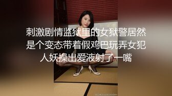 国产AV剧情成人游戏你想要打电玩还是要打炮