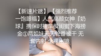 商业女间谍苏小小