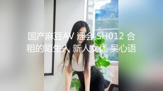 国产麻豆AV 涩会 SH012 合租的陌生人 新人女优 吴心语