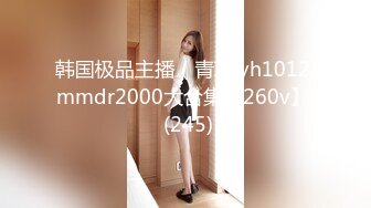 韩国极品主播（青草.yh1012.mmdr2000大合集【260v】  (245)