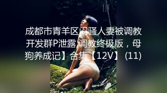 玩黑丝嫂子