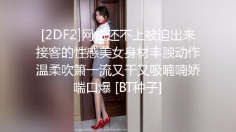 最近很火的Twitter知名户外露出网红FSS蜂鸟箱任务全裸从23楼到一楼到指定蜂鸟箱拿自慰棒到小区游乐场自慰