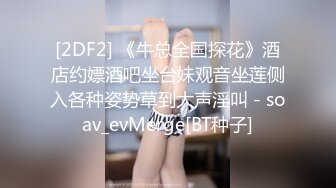 p站皮肤白皙的大长腿少妇Elena_Ross最高分辨率视频合集【72V】2 (11)