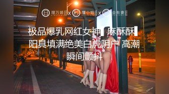 【美乳控福利】精品美乳主播 大奶肥臀拳交 自慰 极品粉乳 合集（58V ） (27)