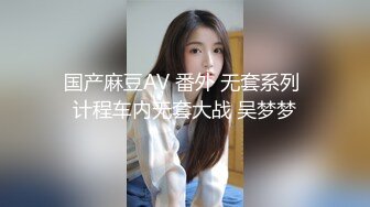 国产麻豆AV 番外 无套系列 计程车内无套大战 吴梦梦