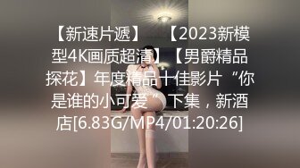 蜜桃影像PMS007-1超级狂婿