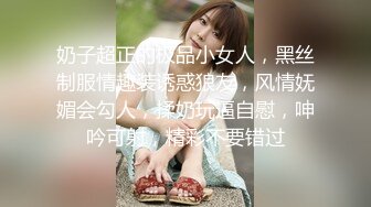 涩会传媒SH004《我的嫂子是妓女》漂亮嫂子无法忘