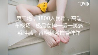 第二场，3800人民币，高端车模场，极品女神一颦一笑魅惑性感，香艳刺激撸管佳作