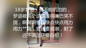 被巨乳蕾丝侵犯的我～被玩弄肉体的实习老师