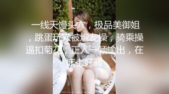 ⚫️究极反差骚婊！推特极品女神气质御姐【粉红色海豚】最新订阅，有钱人的性玩物无套啪啪捣白浆