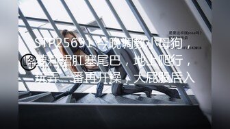 【极品稀缺性爱泄_密大礼包5】数百位极品反_差母G性爱甄选 极品女神各种乱操内射 完美露脸 淫乱篇 高清720P版