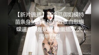 顶级黄埔女神纯雅线下约拍大尺度视图