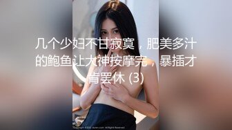 女仆少女 能否满足你的少女梦