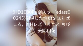 SHKD-645 隣に引っ越してきた巨乳お姉さんを犯して 春菜はな