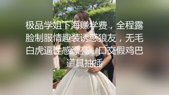 【超顶❤️绿帽大神】91小懒猫✨ 调教母狗校花女友甄选 珍珠骚丁露出取外卖 开肛调教 网吧露出 3P激战极品M属性女友 (4)