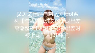 AV0054 大象传媒 巨乳小三的计谋