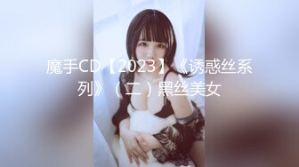 魔手CD【2023】《诱惑丝系列》（二）黑丝美女