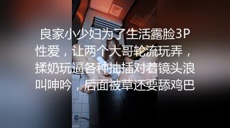  3骚狐狸巡街下午溜达公园勾引路人，‘随便聊一会嘛，我没有男朋友