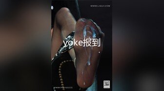 yoke报到