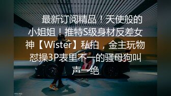 ❤️最新订阅精品！天使般的小姐姐！推特S级身材反差女神【Wister】私拍，金主玩物怼操3P表里不一的骚母狗叫声一绝