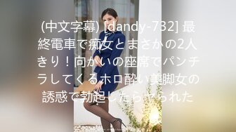 (中文字幕) [dandy-732] 最終電車で痴女とまさかの2人きり！向かいの座席でパンチラしてくるホロ酔い美脚女の誘惑で勃起したらヤられた