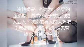 ✨冷艳娇妻✨老婆为什么穿的这么骚，戴着G链子被别的男人后入？吃别的男人的大鸡吧？老婆白虎鲍鱼粉嫩 被无套输出 骚叫不停 (4)