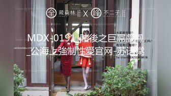 紧急企划 NO.056 EX-016 见希w