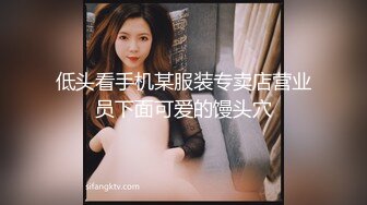 之前圣诞夜偷偷约的，他老公帮着拍他老婆的骚逼