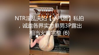 NTR淫乱夫妇【小气质】私拍，诚邀各界实力单男3P露出相当火爆完整 (6)