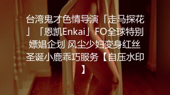 台湾鬼才色情导演「走马探花」「恩凯Enkai」FO全球特别嫖娼企划 风尘少妇变身红丝圣诞小鹿乖巧服务【自压水印】