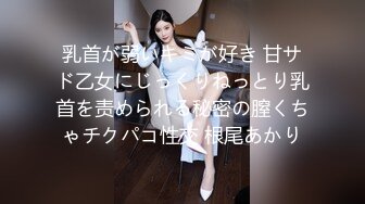 乳首が弱いキミが好き 甘サド乙女にじっくりねっとり乳首を责められる秘密の膣くちゃチクパコ性交 根尾あかり