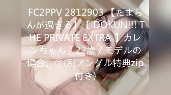 FC2PPV 2812903 【たまらんが過ぎる】【 DOKUN!!! THE PRIVATE EXTRA 】カレンちゃん / 22歳 / モデルの場合。②(別アングル特典zip付き)