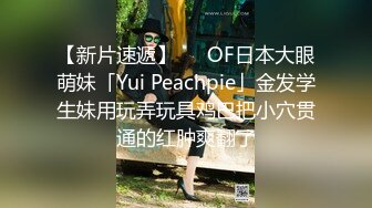 超火小姐姐推荐极品美图 Photochips Vol.129 No.17 Dami 大尺度假 J插入私拍套图