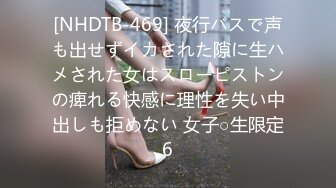 [NHDTB-469] 夜行バスで声も出せずイカされた隙に生ハメされた女はスローピストンの痺れる快感に理性を失い中出しも拒めない 女子○生限定6