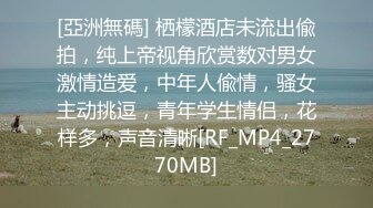 027夫妻做爱三部曲之前戏:小怪兽加口交