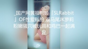 _国产网黄福利姬「SLRabbit」OF性爱私拍 双马尾JK萝莉粉嫩骚穴被玩具和鸡巴一起满足